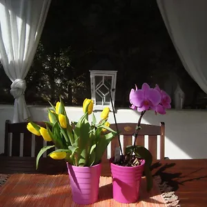 apartment-villa-holiday-ii.in-istria.net/